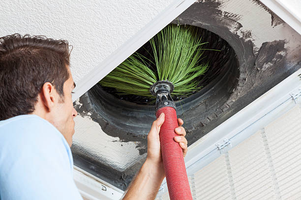 Best Local Air Duct Cleaning Services  in Meridian Village, CO